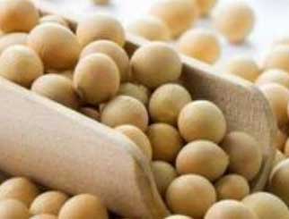 豆粕：供需格局或重回平衡 远期9月升水略偏高