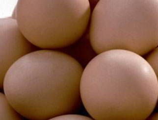 鸡蛋期货尾盘爆发05合约涨逾4% 中短期谨慎看多