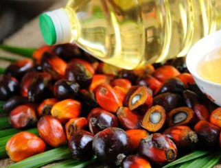 棕榈油涨逾4%、豆油涨逾3% 原油、甲醇涨逾3%