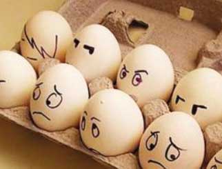 新开产蛋鸡数量减少 鸡蛋产量或呈下降趋势