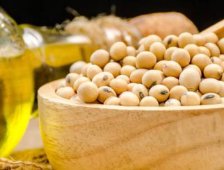 《农产品期货》：天然的蛋白质补品——大豆（五）