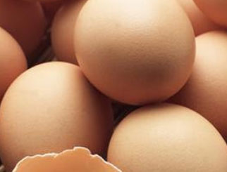 春节备货窗口正在收缩，蛋价上涨的趋势会持续多久？