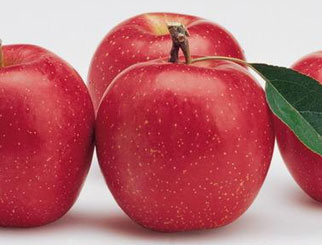 苹果期货是什么 关于苹果期货的那些事
