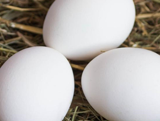 鸡蛋期货特点是什么 涨跌规律是什么